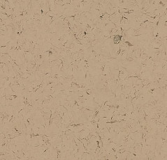 Кварцвиниловые полы Forbo Allura Colour/Colour Plus C68014-651014 cafe au lait фото 1 | FLOORDEALER